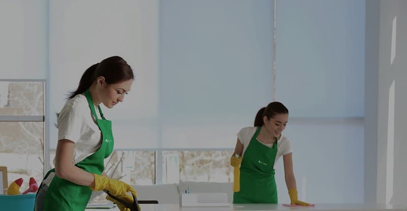 Ecowave Cleaning project 1