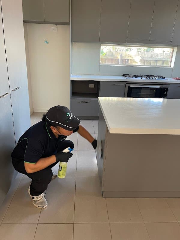Ecowave Cleaning project 5