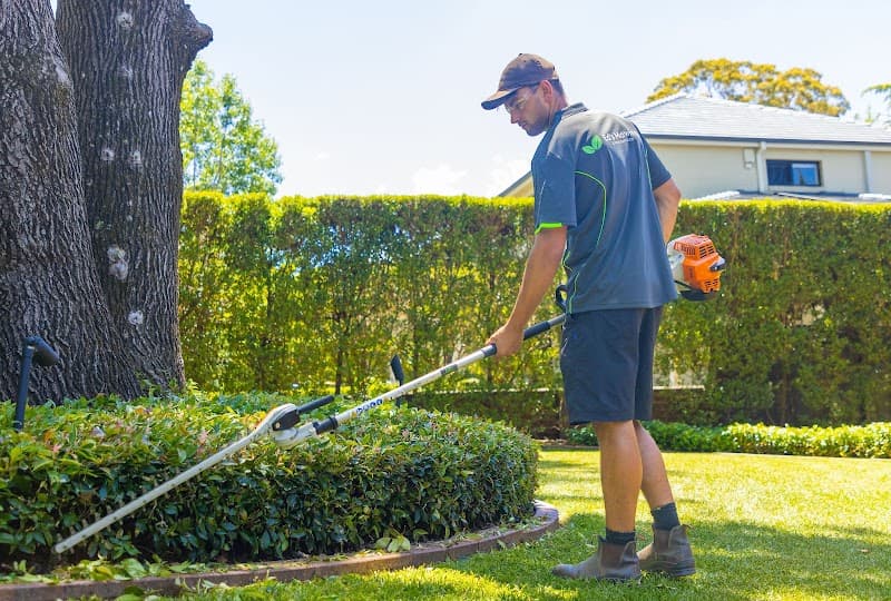 Ed’s Mowing & Maintenance - North Shore cover