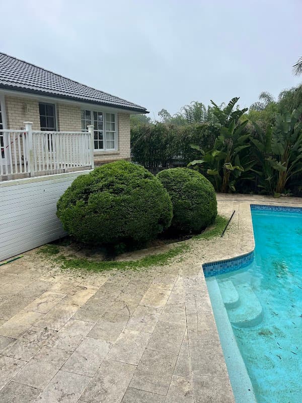 Ed’s Mowing & Maintenance - North Shore project 6