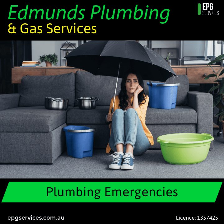 Edmunds Plumbing & Gas Services cover