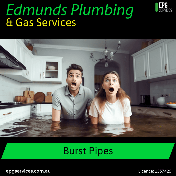 Edmunds Plumbing & Gas Services project 4