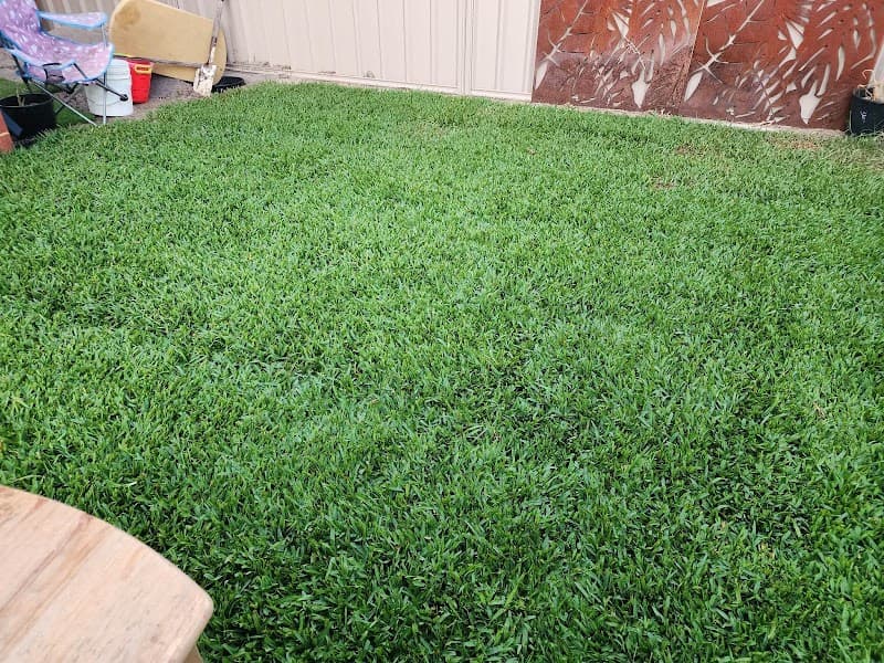 EJS Landscaping and Gardening project 1