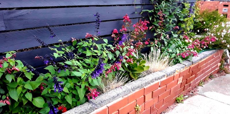 Elite Gardens Bayside project 1