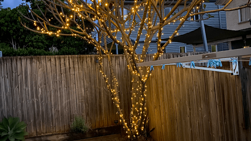 Enchanted Gardening Maintenance project 1