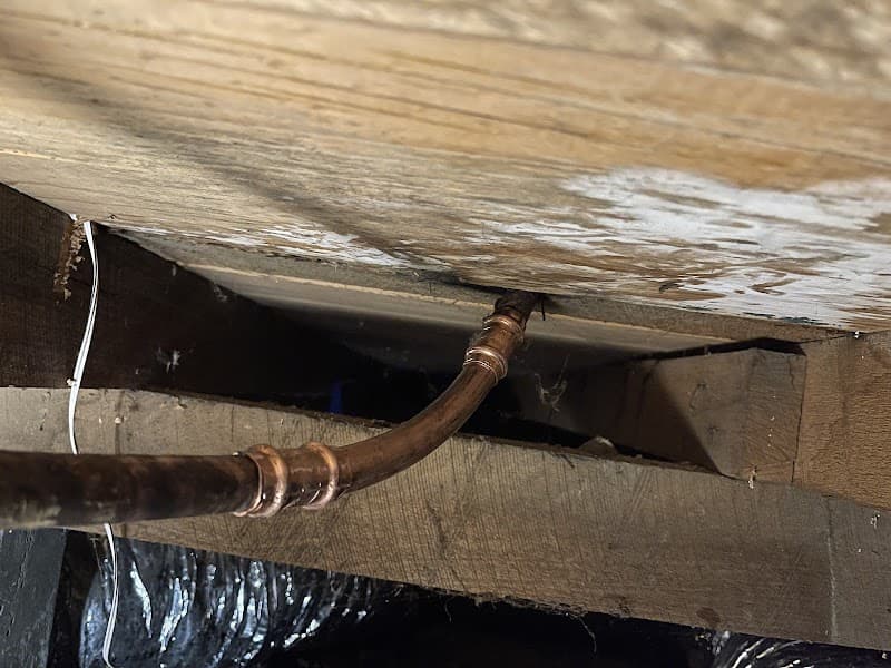 Endeavour Plumbing Camberwell project 6