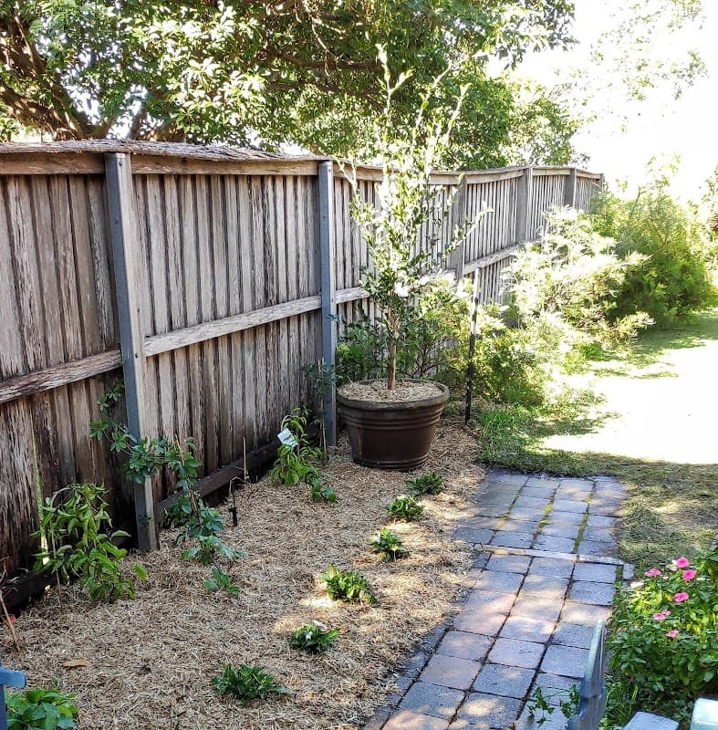 Ernst Landscaping and Gardening cover