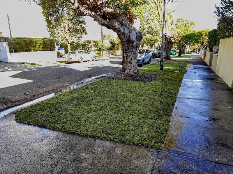 Ernst Landscaping and Gardening project 3