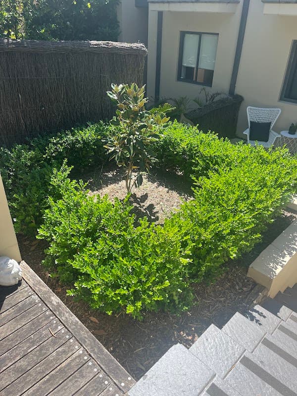 Essential Lawn and Garden Care project 1
