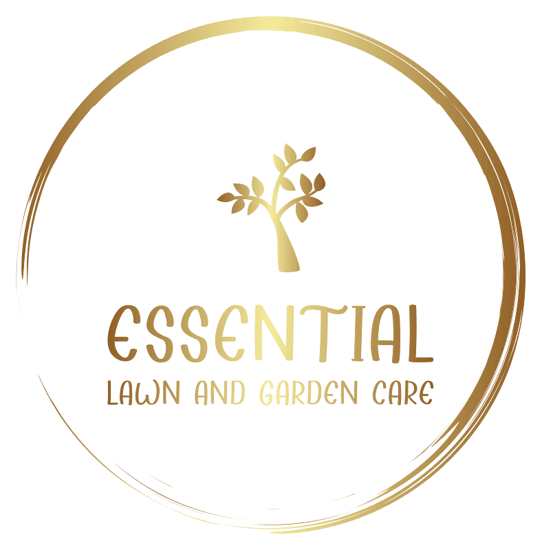 Essential Lawn and Garden Care project 3