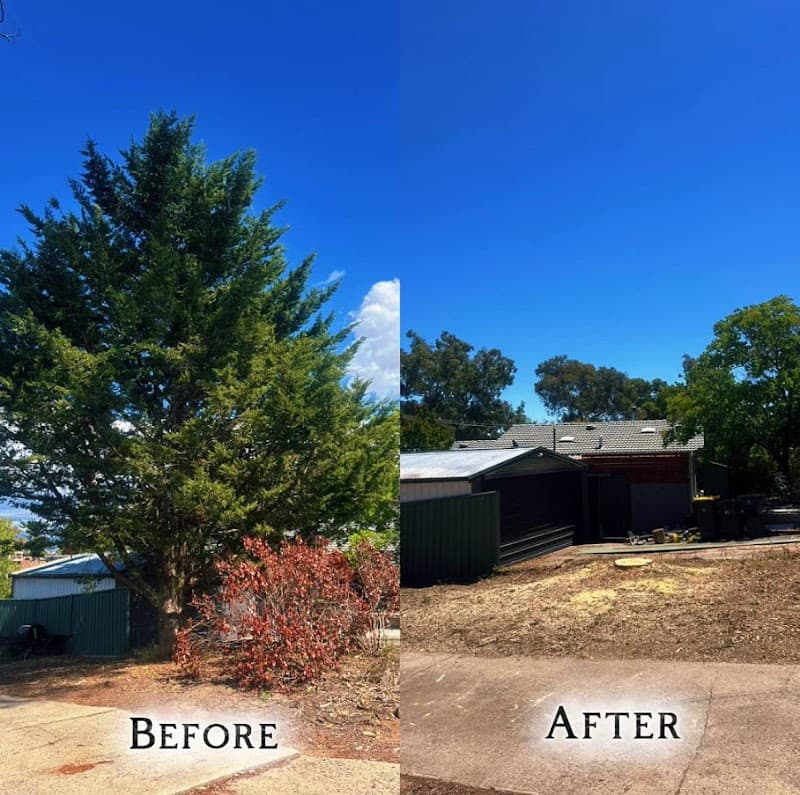 Flora Tree Services