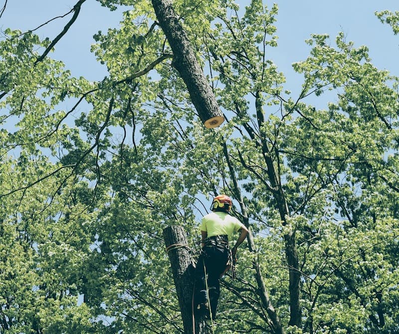 Flora Tree Services cover