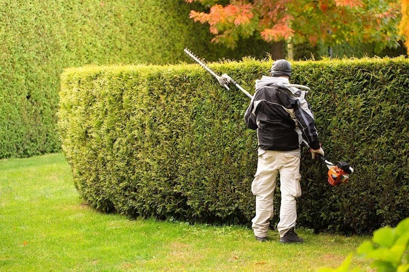 Flora Tree Services project 3