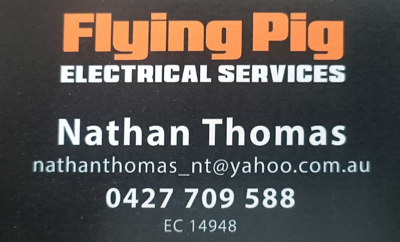 Flying Pig Electrical Services