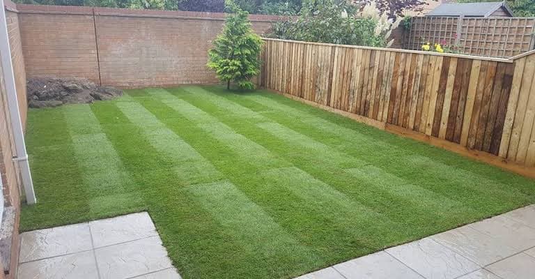 Forever Gardening and Cleaning cover