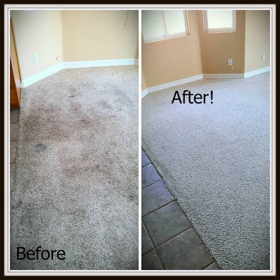 Forever Gardening and Cleaning project 3