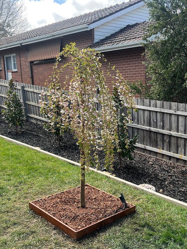 Freyjay Garden cover