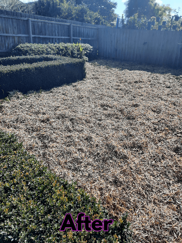 Garden Care Lawn Maintenance project 3