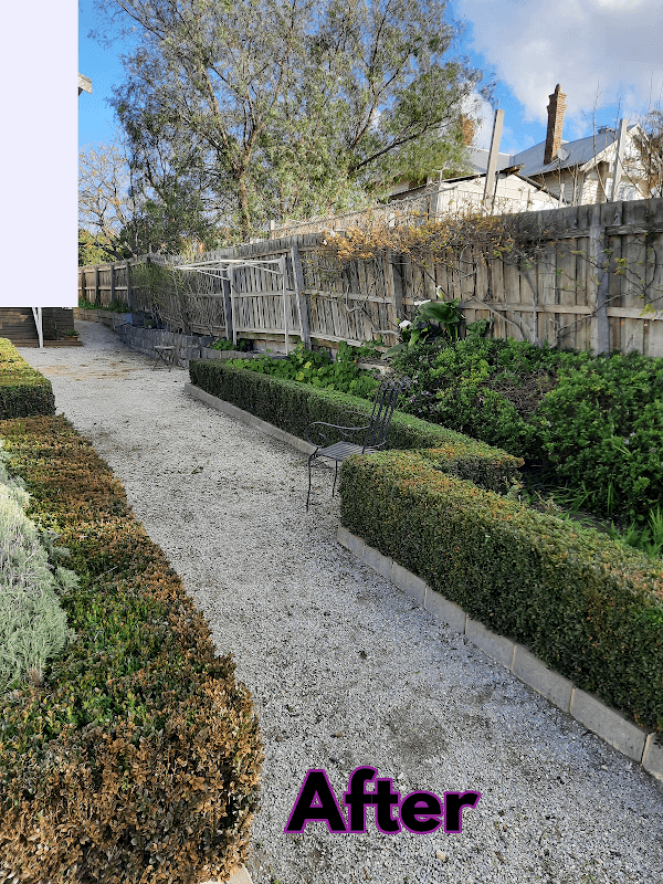 Garden Care Lawn Maintenance project 5