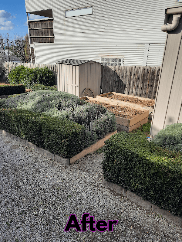 Garden Care Lawn Maintenance project 6