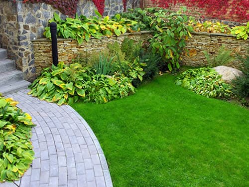 Garden Maintenance Sydney | Gardening Services & Lawn Mowing project 4