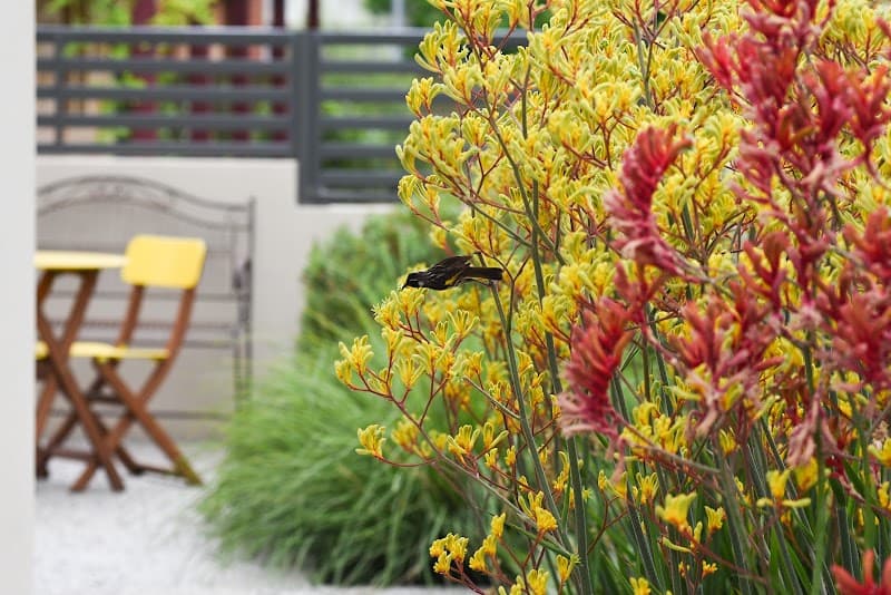 Get-Eco Adelaide's Sustainable Landscape Designer project 1