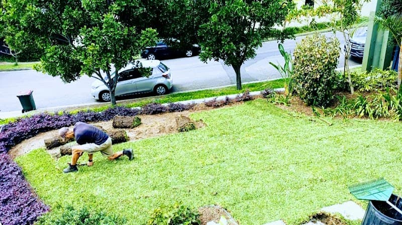 Get Laid-Turf install & Horticulture project 1