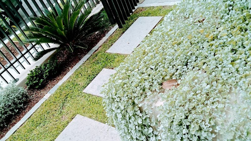Get Laid-Turf install & Horticulture project 5