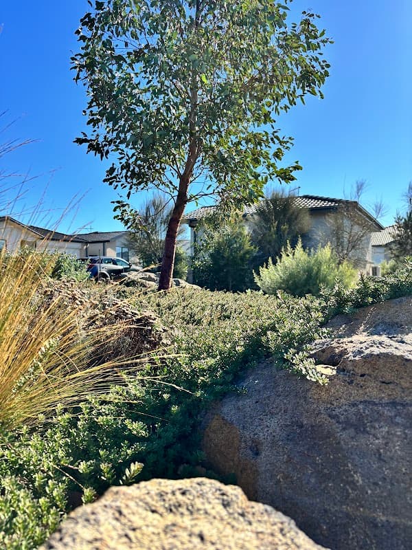 GO Landscaping project 4