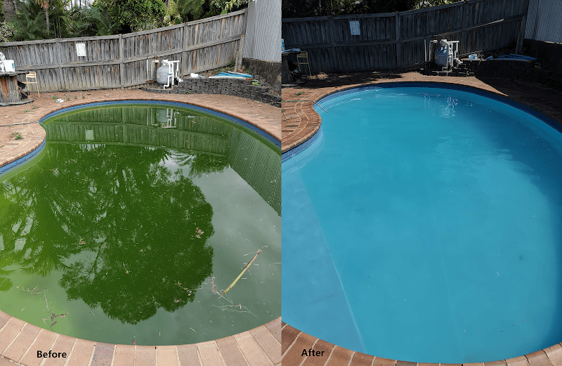 Go Swim Pool Services project 1
