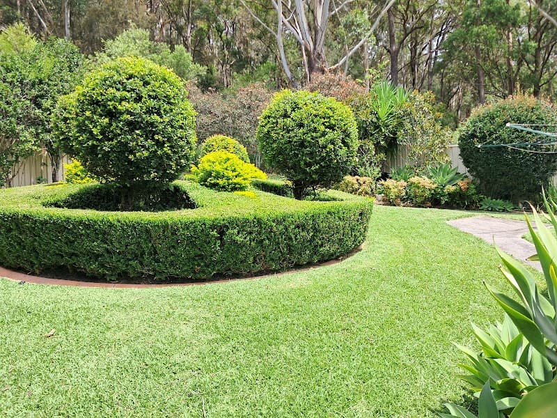Goodness Gardens Co.