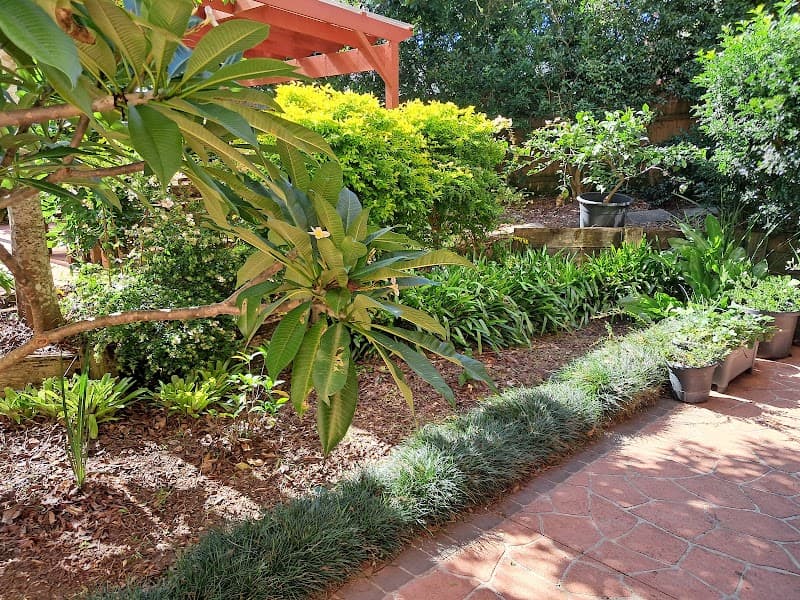 Goodness Gardens Co. project 6