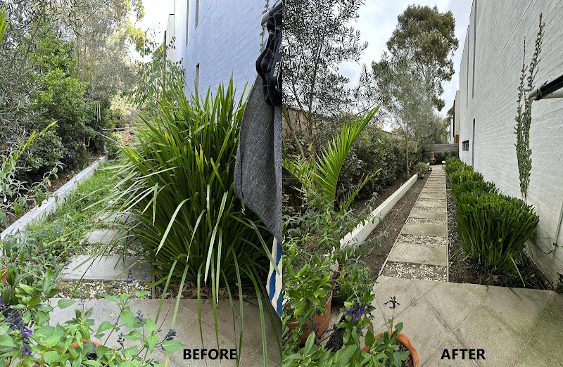 GreenGo Garden Service project 3
