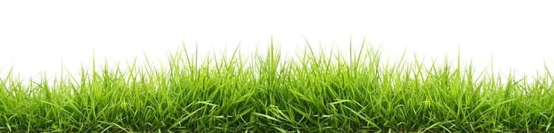 Greenprint Landscapes project 1