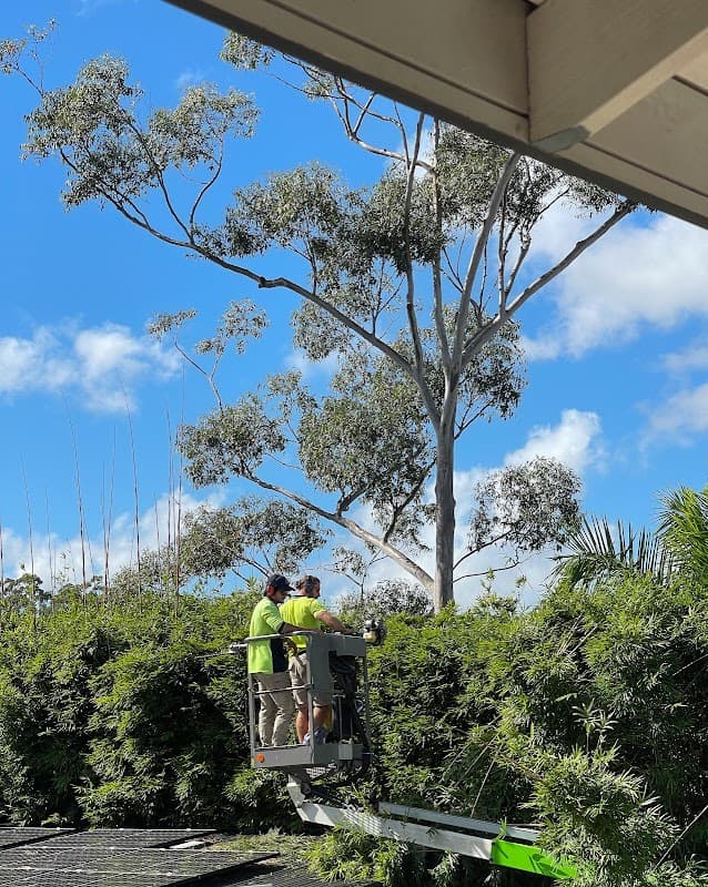 Guardians Garden and Tree Care cover
