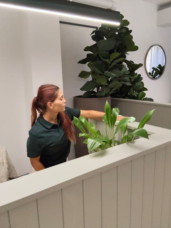 Gumnut Cleaning project 4