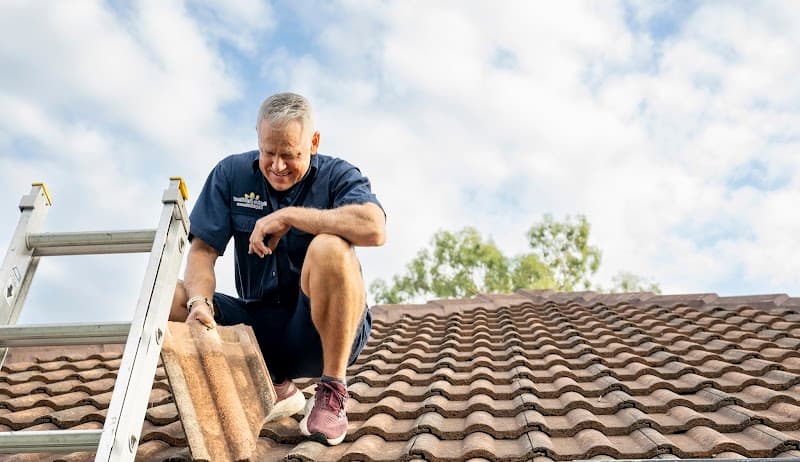 Gutter and Roof Repairs cover