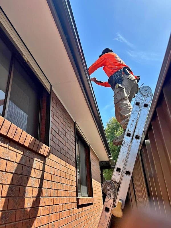 Gutter Cleaning Hobart project 3