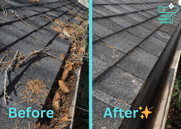 Gutter Cleaning Hobart project 6