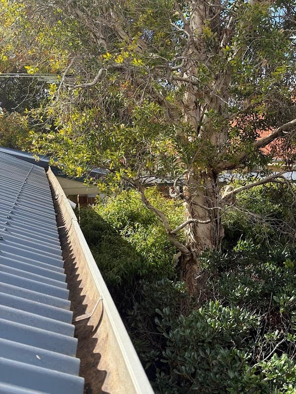 gutter masters perth project 4