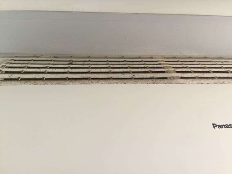 Halls Head Cleaning & Maintenance Services project 4