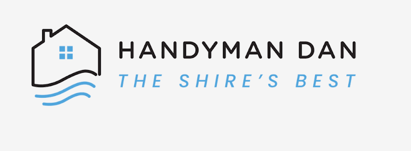 Handyman Dan cover