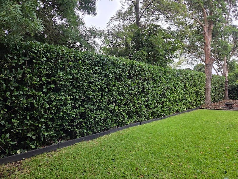 Hedge Trimmer with a Ladder