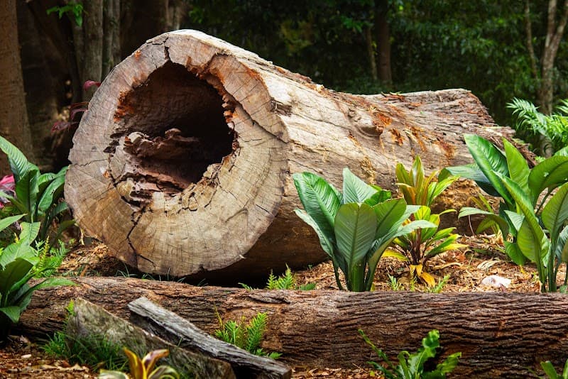 Heritage Tree Care cover