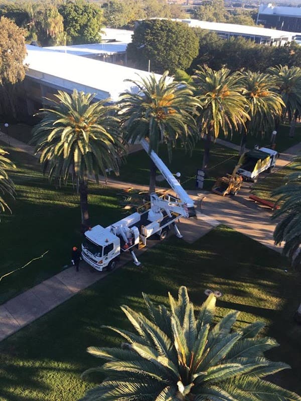 Heritage Tree Care project 4