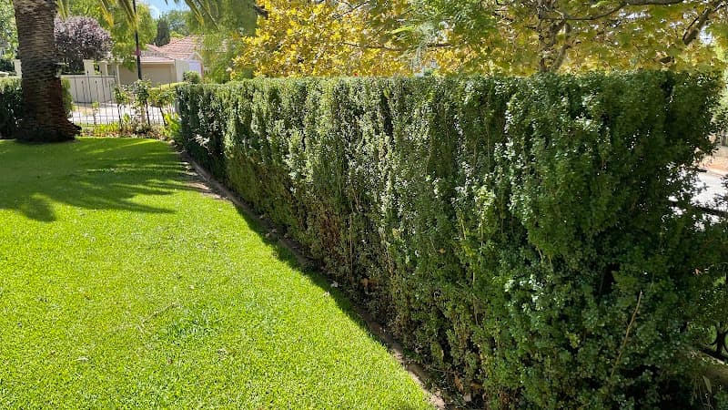 Hillside Garden Co.