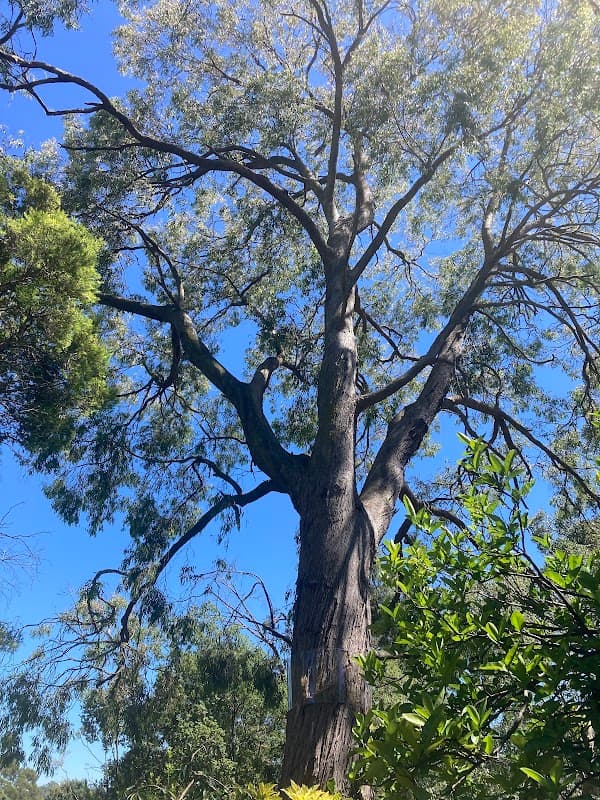 Hive Tree Services project 3