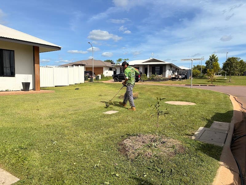 Home Grown Lawn Mowing project 3