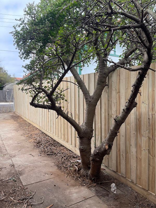 Ivy Fencing Solutions project 4