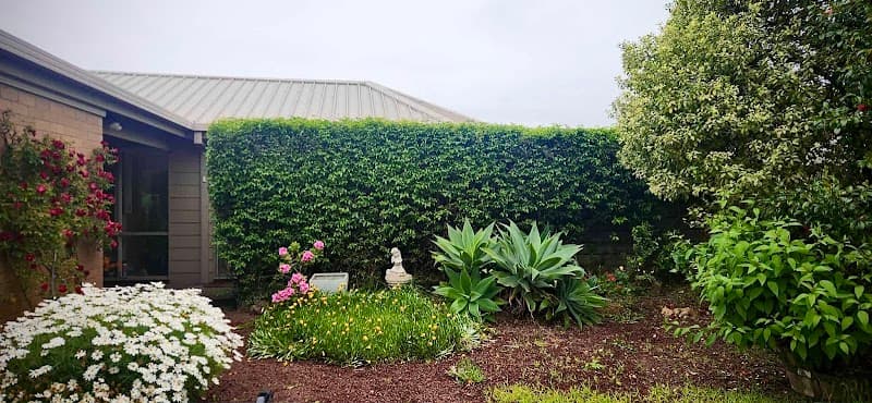 Jim’s Mowing- St Leonards North: Vince is Your Man project 3